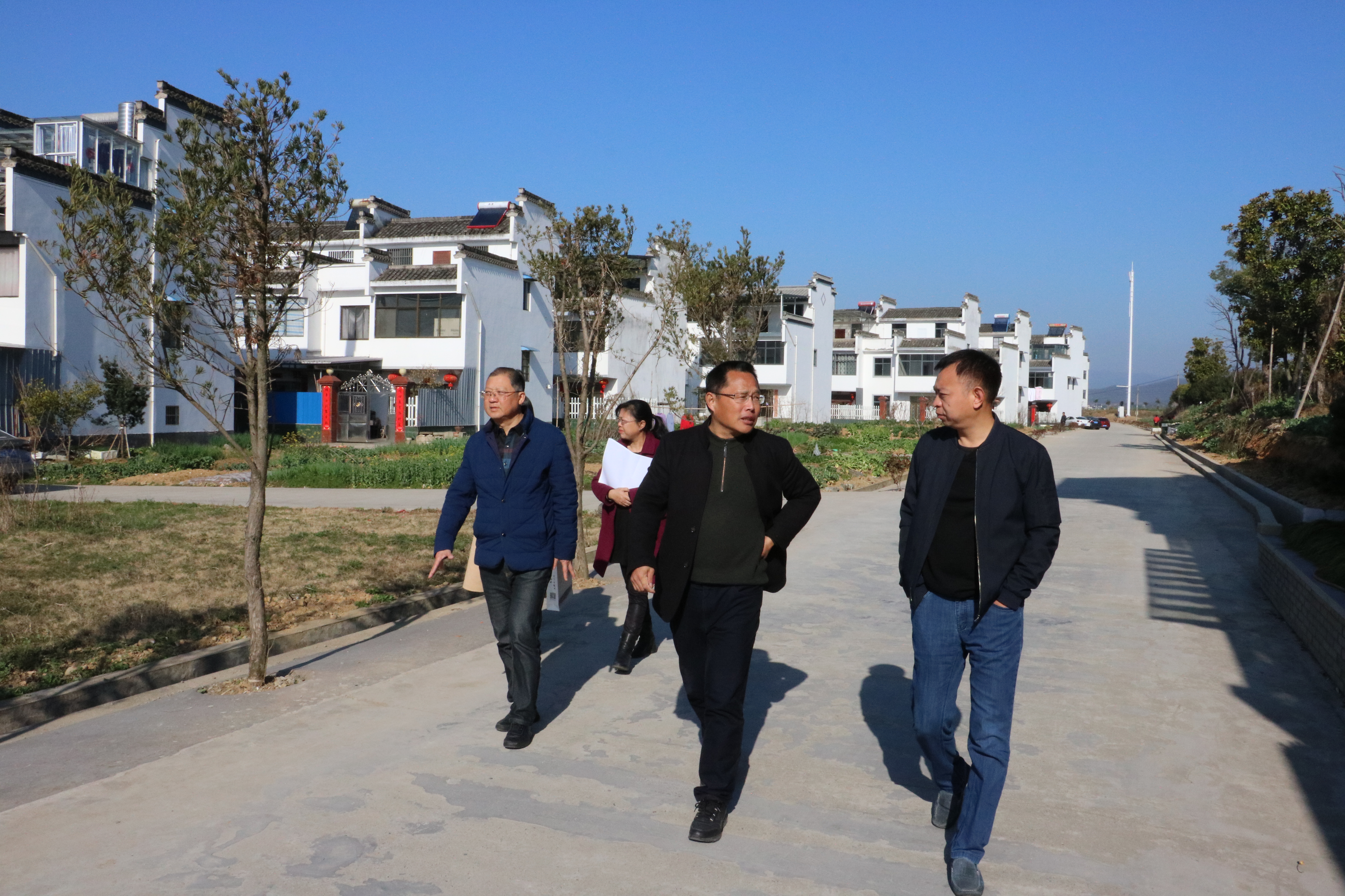 副县长江成永赴歙县乡野园艺场有限公司调研指导工作_黄山市政务公开