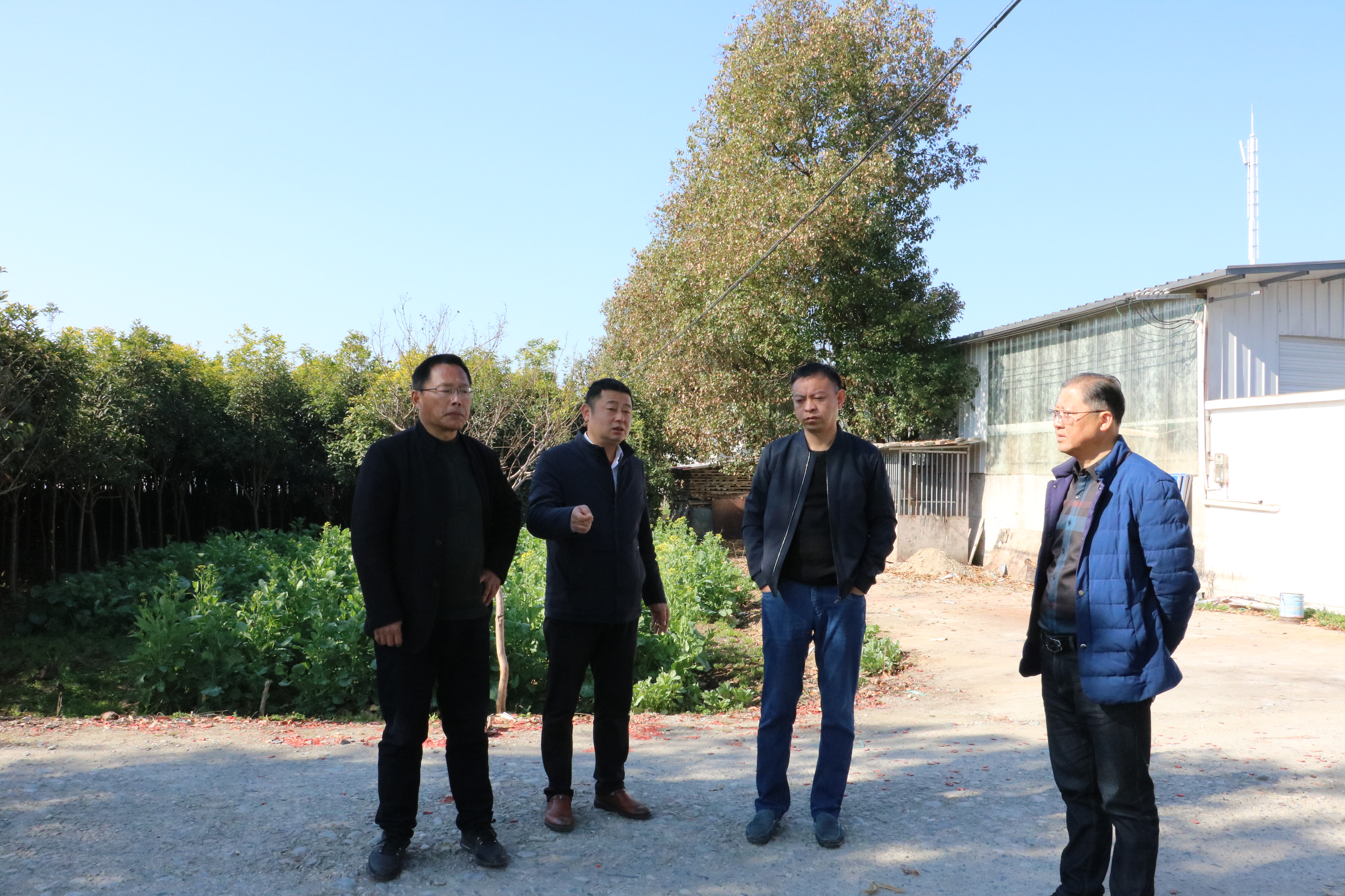 副县长江成永赴歙县乡野园艺场有限公司调研指导工作_黄山市政务公开