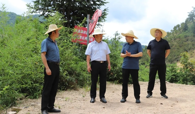 县委副书记、县级副总林长吴志平赴清凉峰国家级自然保护区调研林长制工作