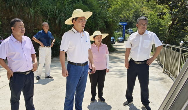 王奇勇调研林长制 河长制工作落实情况