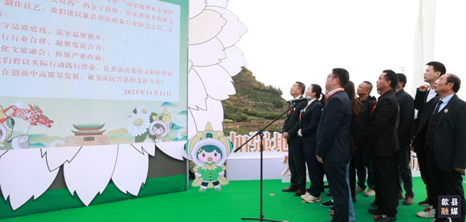 2025歙县黄山贡菊维护发展在行动活动启幕
