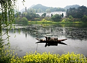 春天里