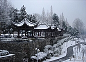 雪景
