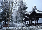 雪景