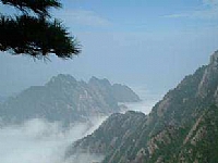 徽州森林旅行社