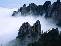 黄山雁之旅国际旅行社